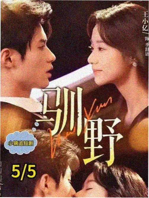 猫町奇谭 奇幻动漫 海报